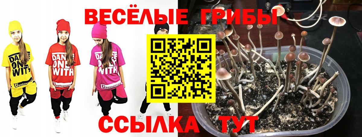 Первоуральск  Галлюциногенные грибы Magic Shrooms  купить наркотики сайты  Вход с VPN 