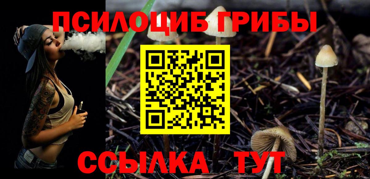 Псилоцибиновые грибы Magic Shrooms Первоуральск